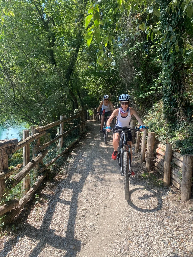 E-Bike Tour al Lago di Garda con degustazione di vini in cantina